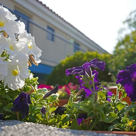 Апарт-готель Green Bungalows Hotel Apartments